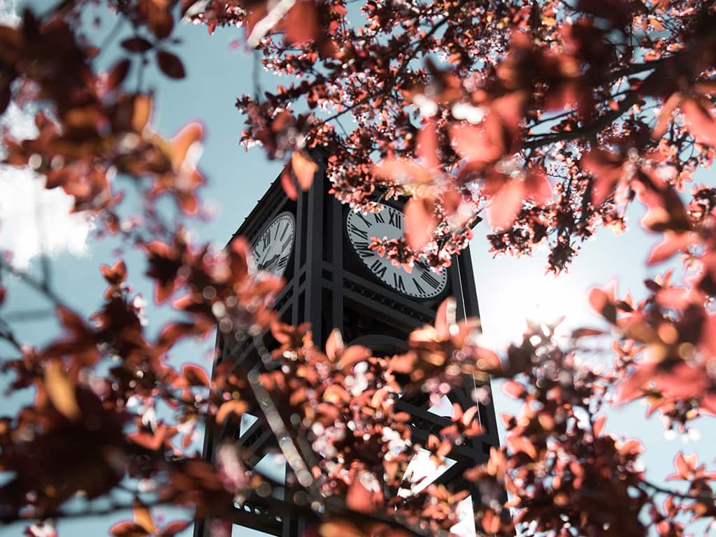Photo of the JB Davis Bell & Clock Tower as seen through a blooming tree on RCC's Asheboro Campus.