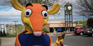 armadillo mascot costume